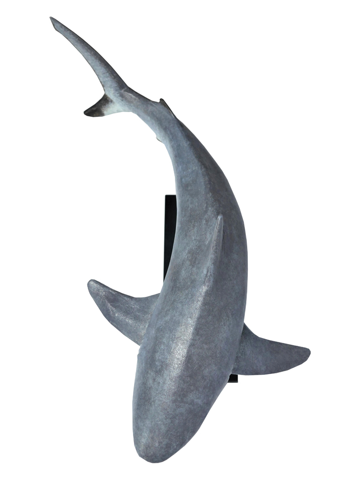 Damien Colcombet bronze Grey Reef Shark