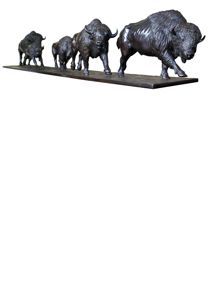 Damien Colcombet animal bronze Galoping American Bisons