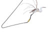Aigrette garzette 40