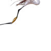 Aigrette garzette 40 – Image 2