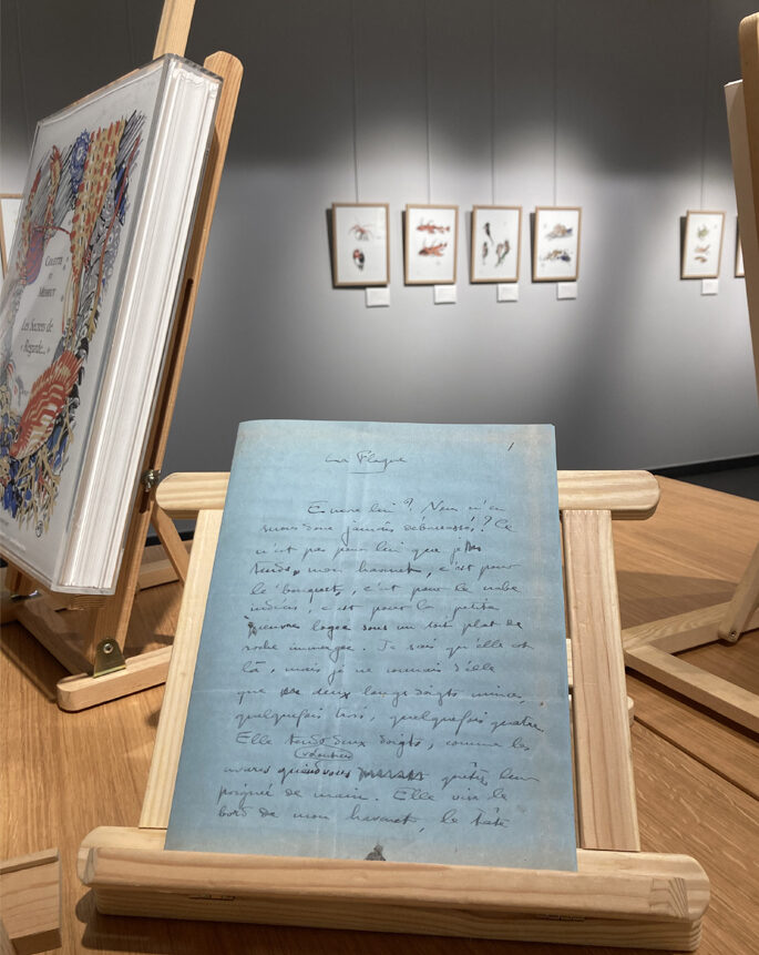 Exposition Colette et Méheut Centre Cristel