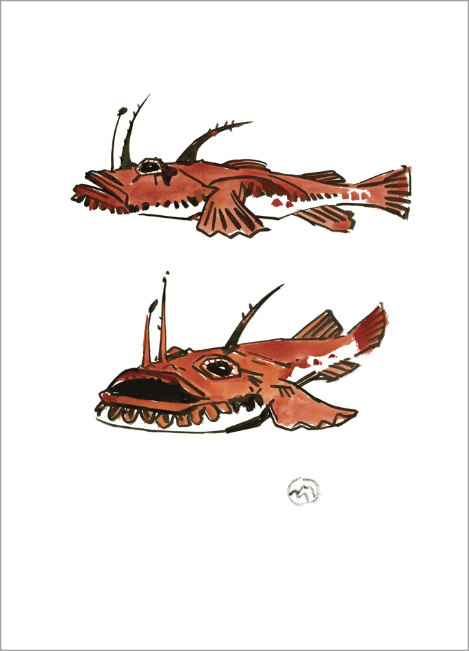 Mathurin Méheut print The Anglerfish Colette