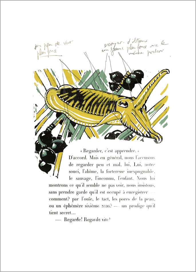 Mathurin Méheut print The Cuttlefish Colette