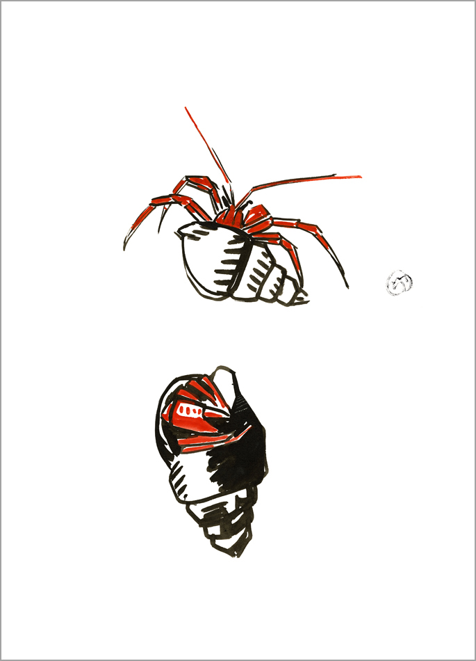 Mathurin Méheut print The Hermit Crab Colette