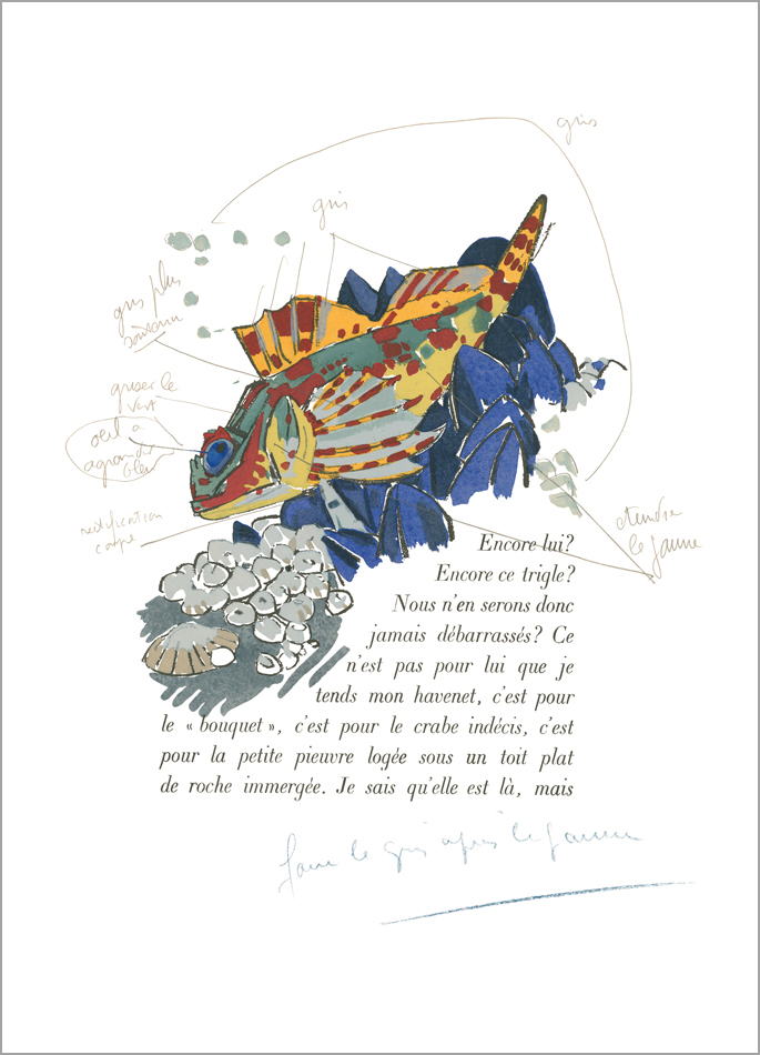 Mathurin Méheut print The sculpin on mussels Colette