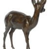 Damien Colcombet bronze Le Brocard (chevreuil mâle)