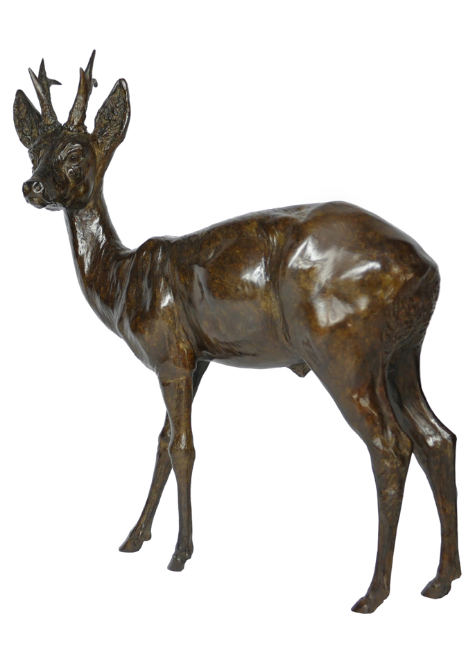 Damien Colcombet bronze Le Brocard (chevreuil mâle)