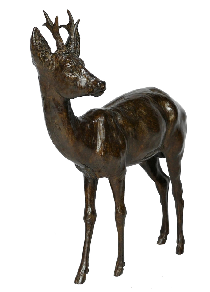 Damien Colcombet bronze Male Roe Deer