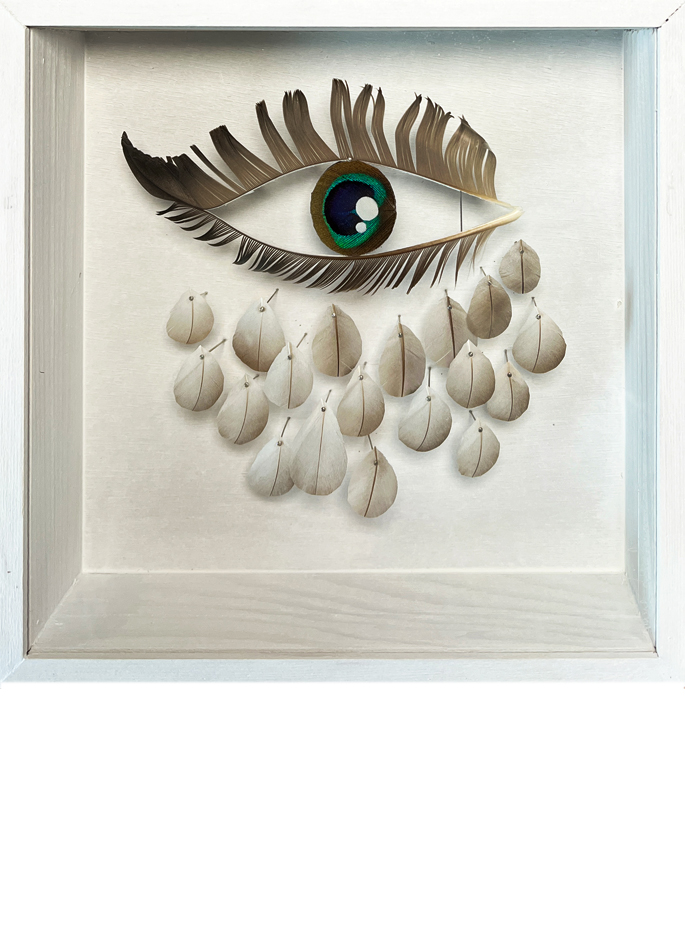 Anne Limbour L'œil nuage œuvre plastique plumes