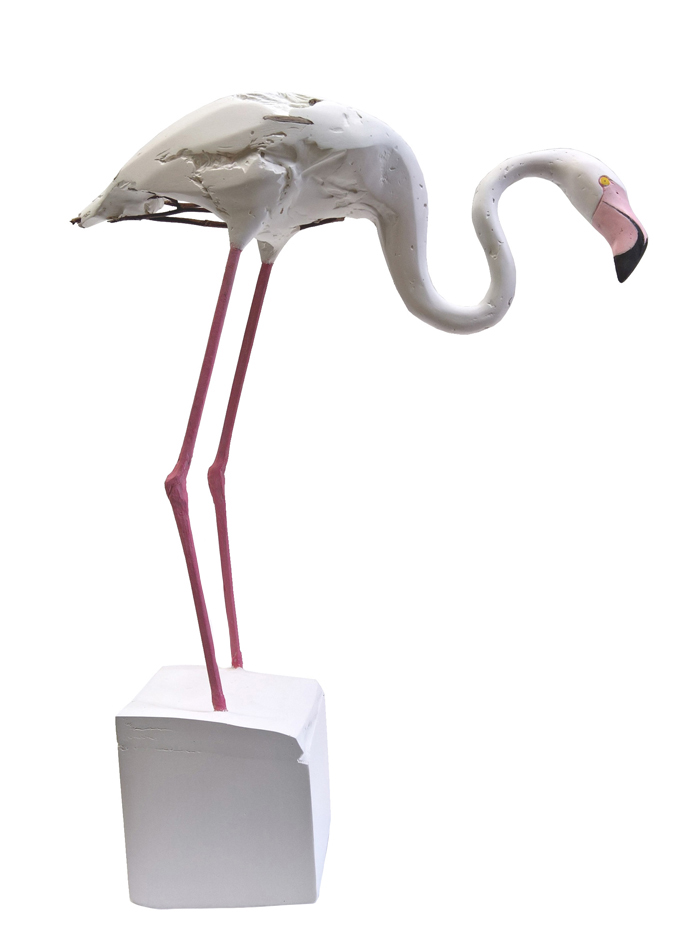 Hervé Bédouin Flamant rose