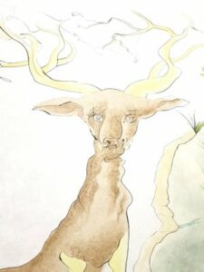 salvador-dali-le-cerf-de-le-bestiaire-de-la-fontaine-gravure-signee-1974-5 artiste-jacques-berland
