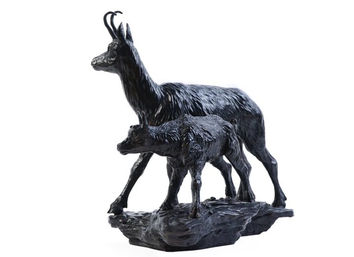 Chamois et chevreau – Image 2