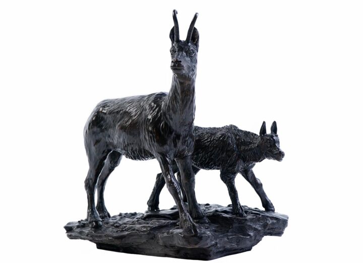 Chamois et chevreau – Image 3