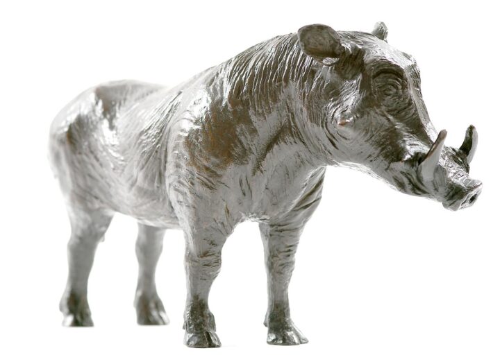 Phacochère – Image 3