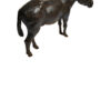 Large Donkey – Image 4