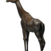 Girafe tête tournée