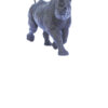 Rhinocéros noir femelle au trot (agrandissement) – Image 3