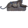 Panthère couchée sur un rocher – Image 3