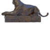 Panthère couchée sur un rocher – Image 4