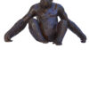 Le gorille Diogène – Image 2