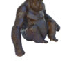 Le gorille Diogène – Image 3