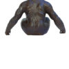 Le gorille Diogène – Image 4