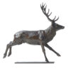 Damien Colcombet Grand cerf courant sculpture animalière bronze