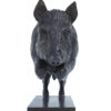Damien Colcombet Sanglier sautant n°5 (postérieurs au sol) sculpture animalière bronze