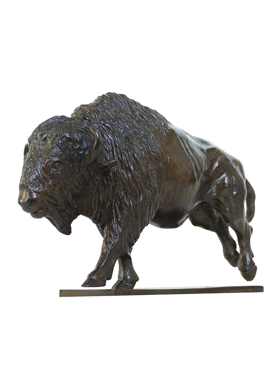 Damien Colcombet Le Petit Bison d'Amérique bronze sculpture
