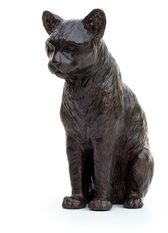 Damien Colcombet Chat Assis sculpture bronze