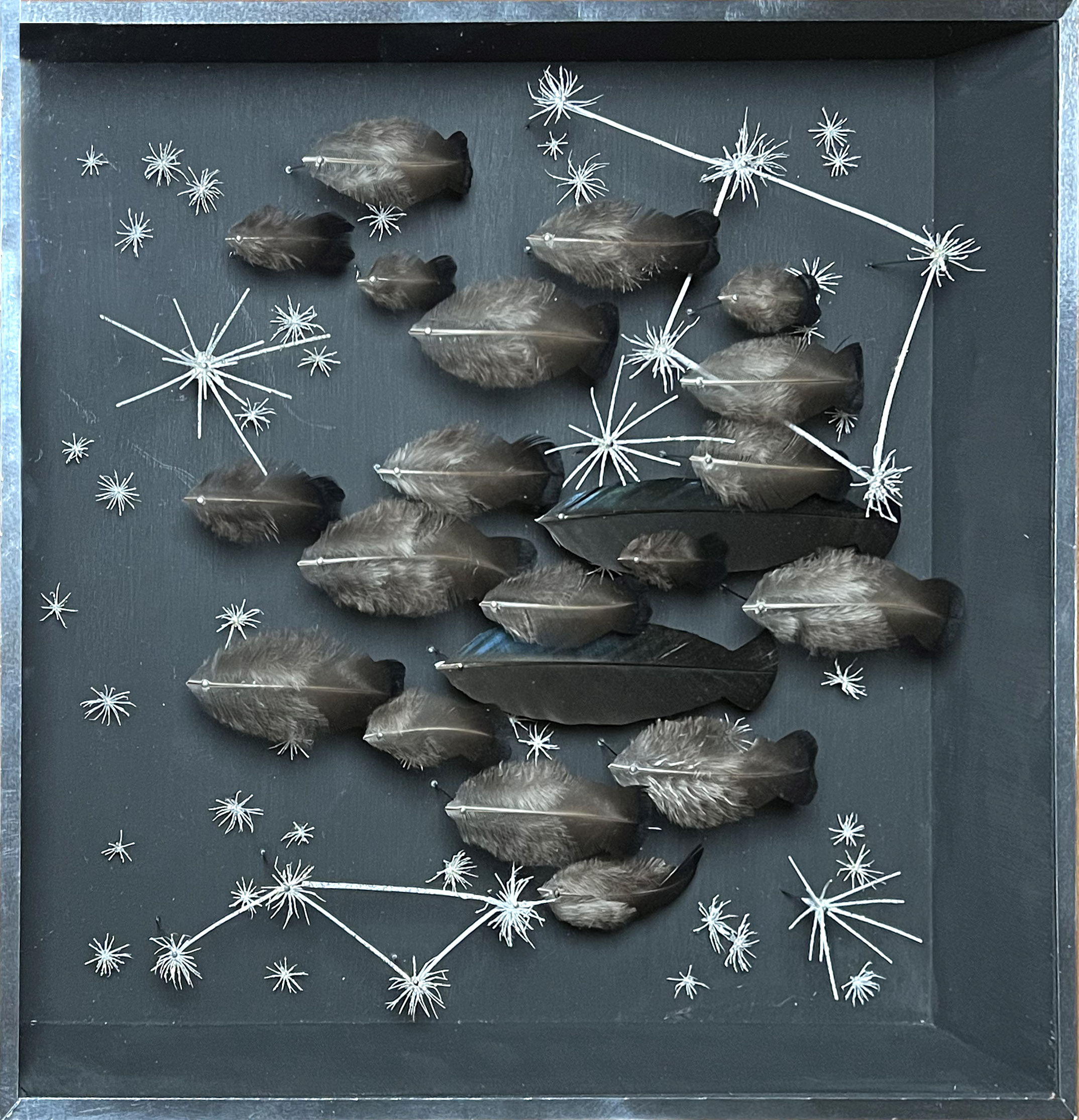 Anne Limbour Constellation marine grise œuvre plastique plumes