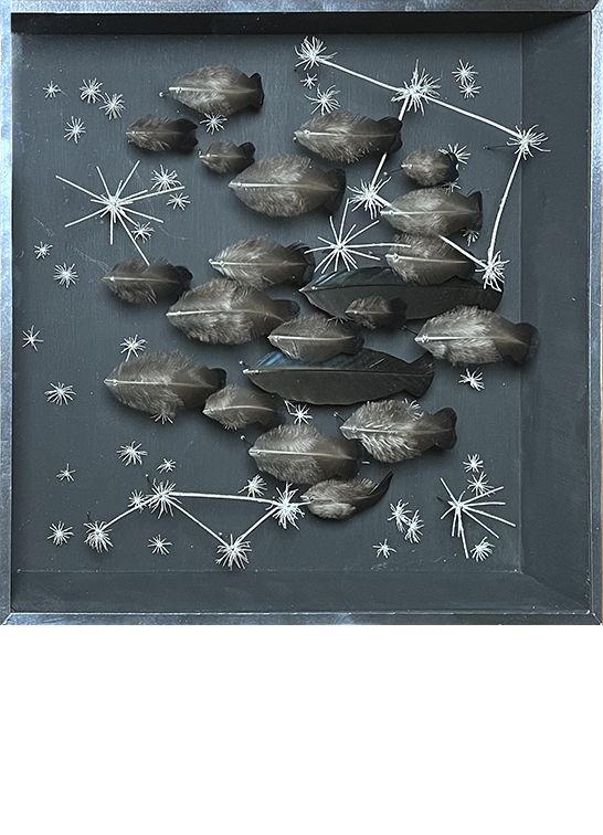Anne Limbour Constellation marine grise œuvre plastique