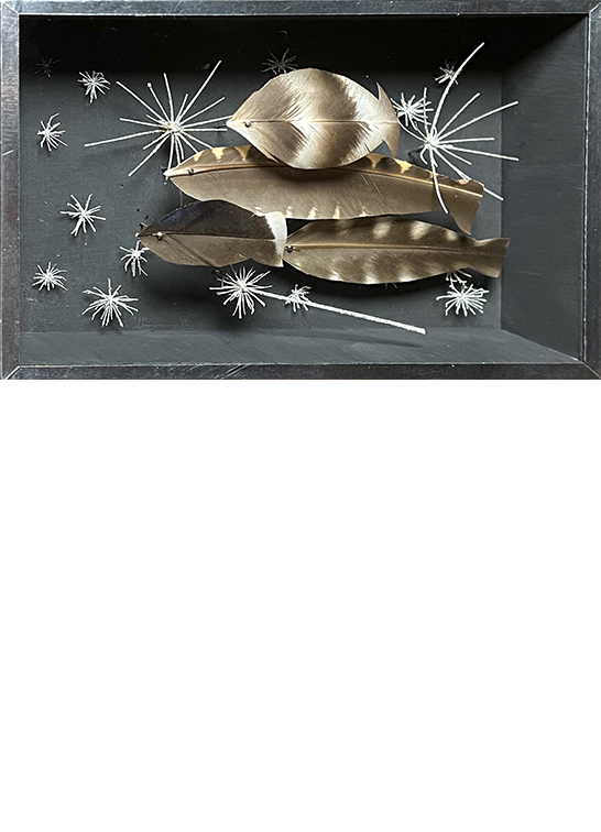 Anne Limbour Constellation marine tigrée œuvre plastique
