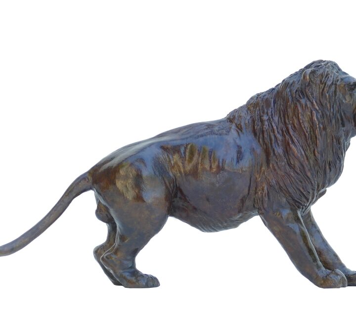 Petit lion prêt à bondir