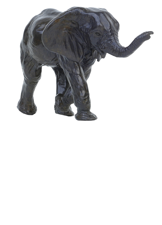 Damien Colcombet sculpture bronze animalier Quatrième éléphant d'Afrique (éléphanteau) Centre Cristel