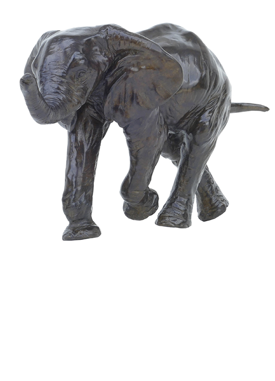 Damien Colcombet sculpture bronze animalier Quatrième éléphant d'Afrique (éléphanteau) Centre Cristel