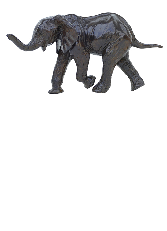 Damien Colcombet sculpture bronze animalier Quatrième éléphant d'Afrique (éléphanteau) Centre Cristel