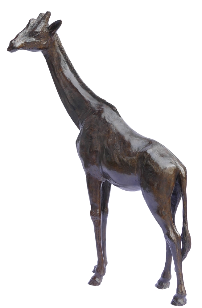 Damien Colcombet Girafe tête tournée à gauche agrandissement sculpture bronze