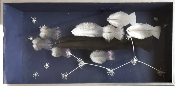 Anne Limbour Cosmos aquatique Œuvre plastique 11,5 x 23 cm