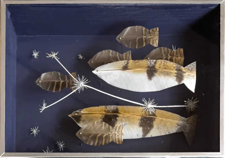 Anne Limbour Cosmos aquatique Œuvre plastique 13 x 18 cm