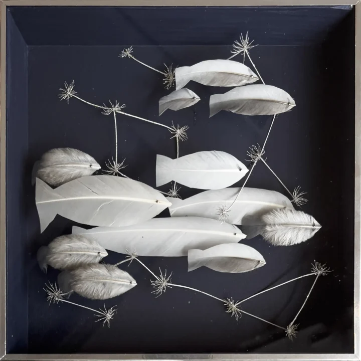 Anne Limbour Cosmos aquatique Œuvre plastique 24 x 24 cm