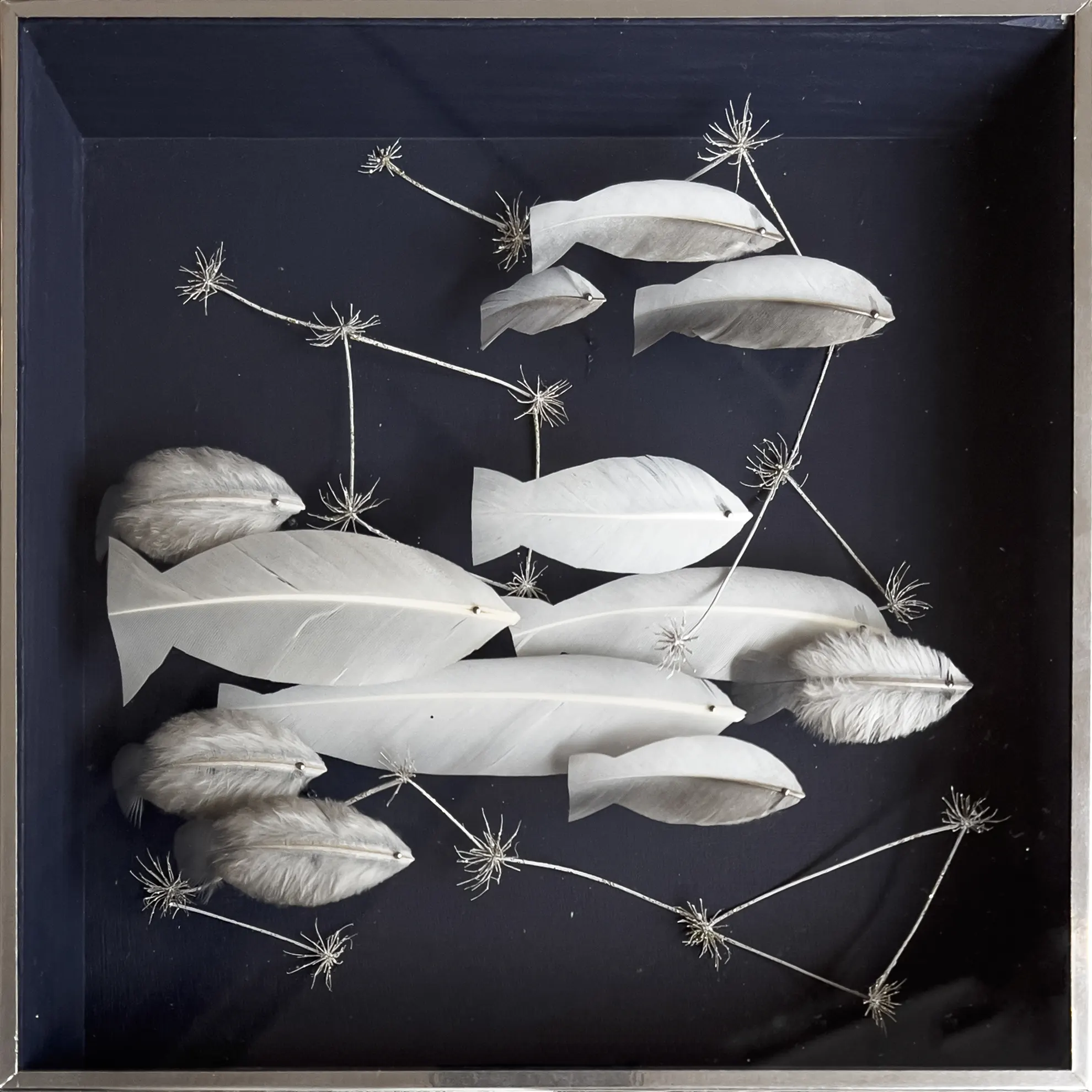 anne-limbour-cosmos-aquatique-20x20cm Anne Limbour Cosmos aquatique Œuvre plastique 24 x 24 cm