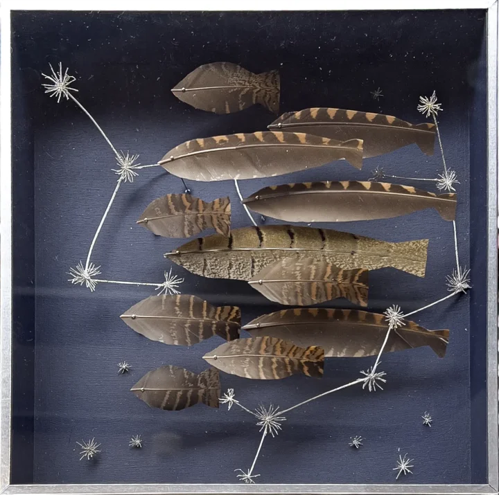 Anne Limbour Cosmos aquatique Œuvre plastique 24 x 24 cm