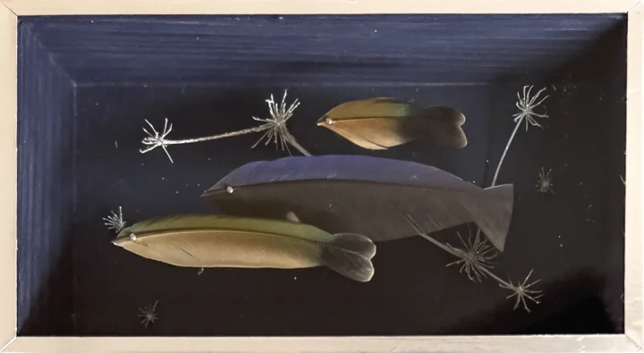 Anne Limbour Cosmos aquatique Œuvre plastique 7,5 x 13 cm