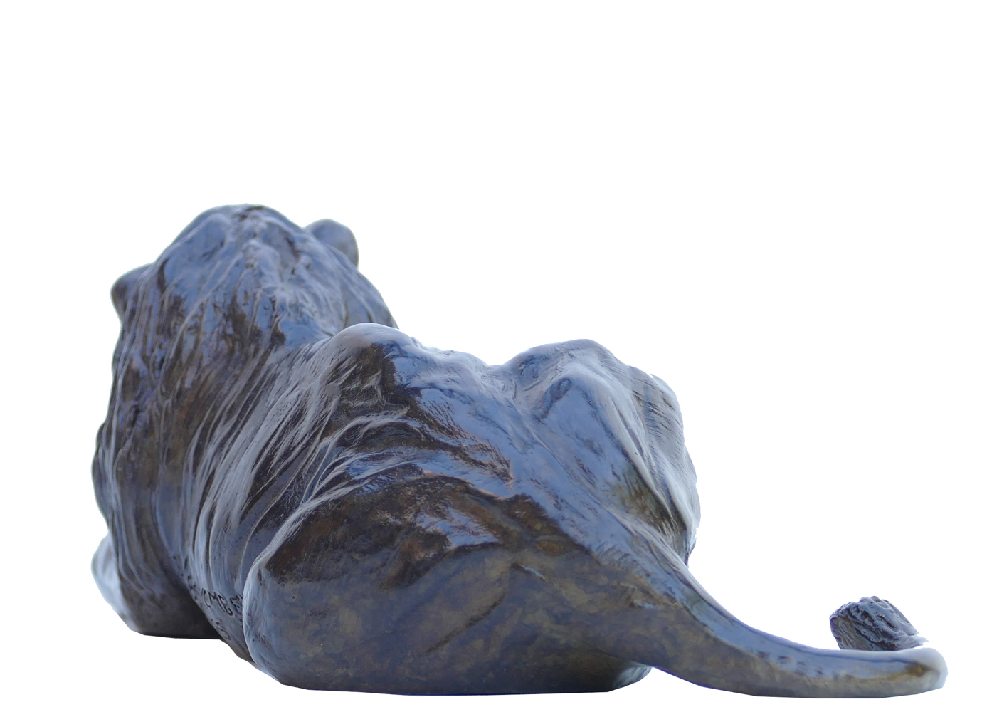 Damien Colcombet bronze sculpture Petit lion couché