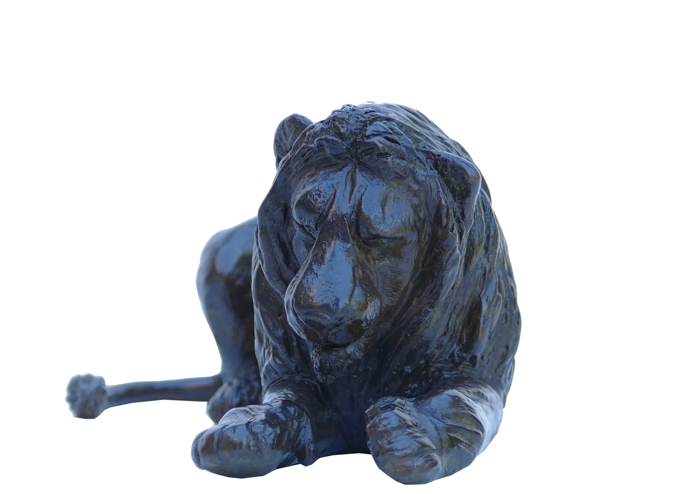 Damien Colcombet bronze sculpture Petit lion couché