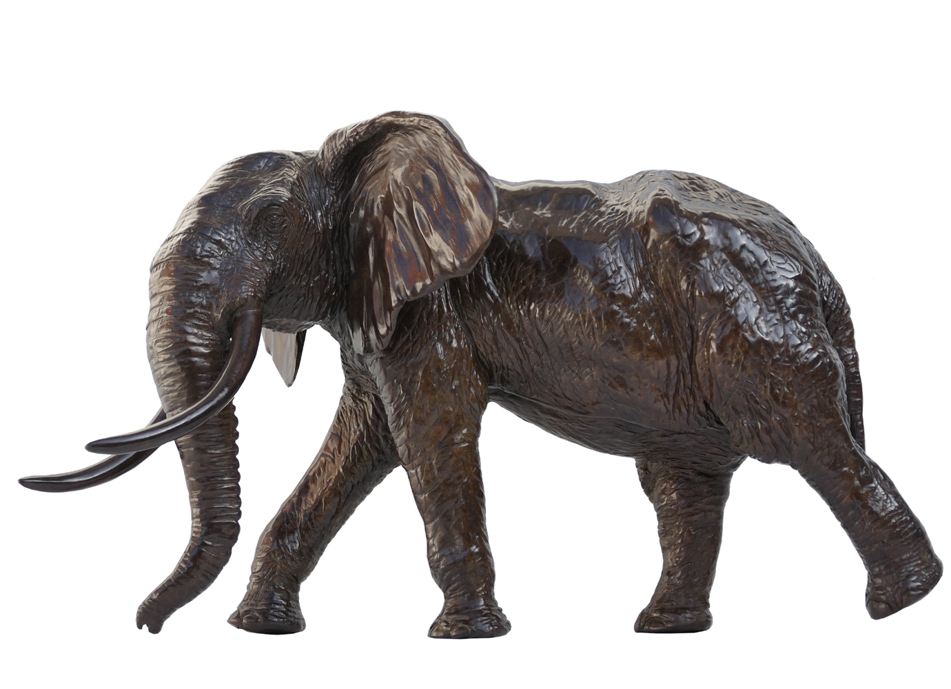 Damien Colcombet Éléphant d'Afrique chargeant tête tournée bronze sculpture