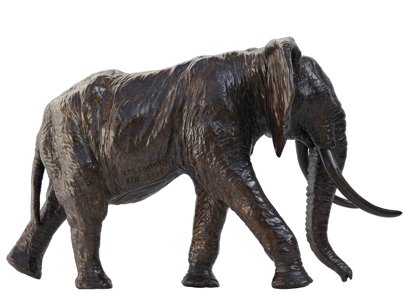 Damien Colcombet Éléphant d'Afrique chargeant tête tournée bronze sculpture