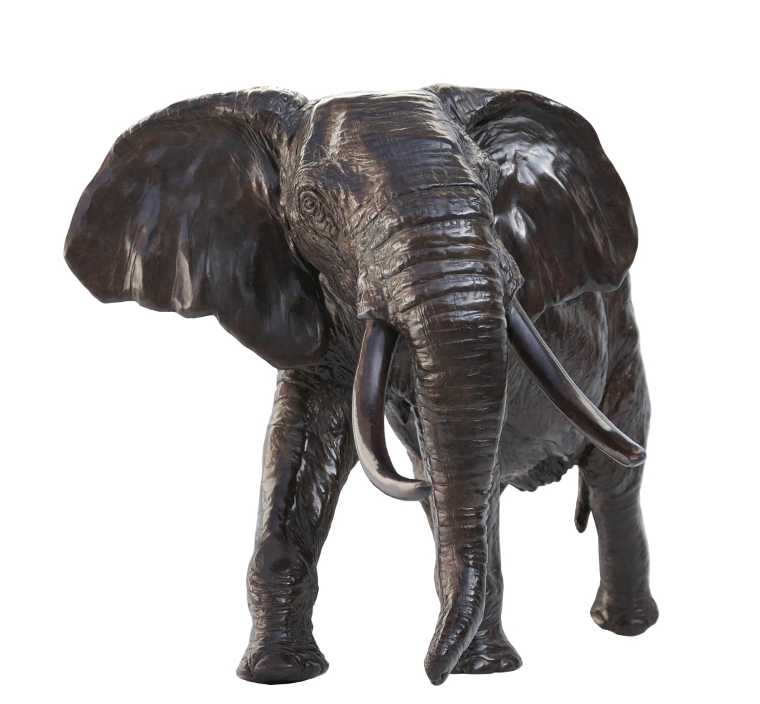 Damien Colcombet Éléphant d'Afrique chargeant tête tournée bronze sculpture