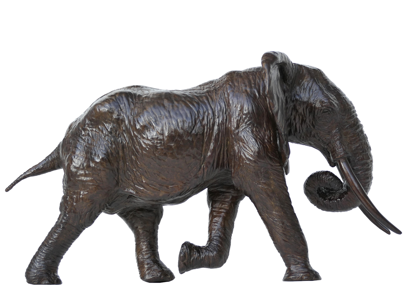 Damien Colcombet Éléphant d'Afrique chargeant trompe enroulée bronze sculpture